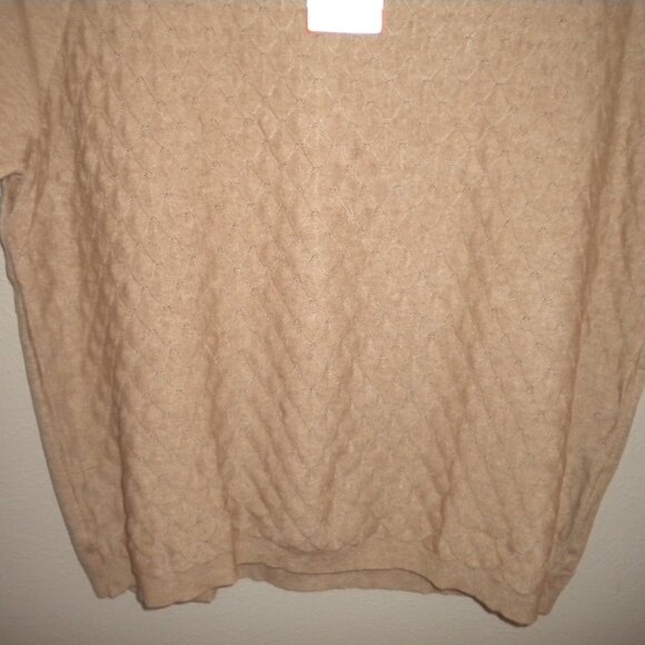 Well Worn Women's Plus Size XXL Tan Short Sleeve Knit Top Sweater NWT - Picture 5 of 6
